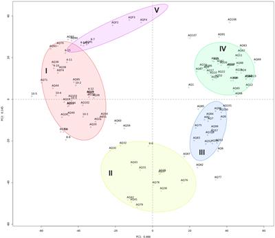 Temporal Bacterial Surveillance of Salmon Aquaculture Sites Indicates a Long Lasting Benthic Impact With Minimal Recovery